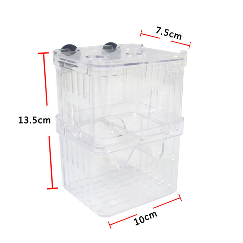 Peacock Fish Breeding Isolatio - огляд і ціна Betta Fish Tank